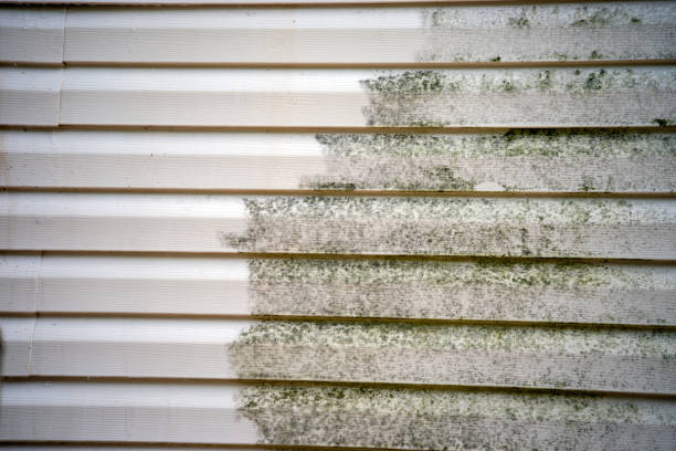 Best Insulated Siding Installation  in Knik Fairview, AK