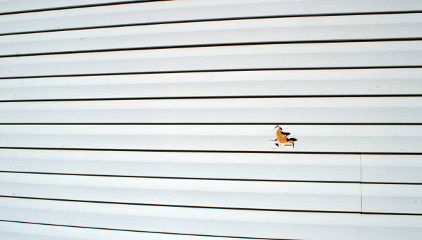 Best Custom Siding Design  in Knik Fairview, AK